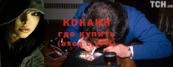 гидра Вяземский
