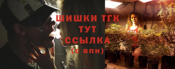 тгк Володарск