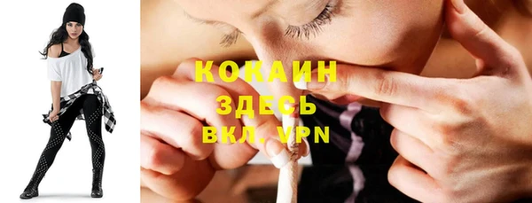мдпв Майский