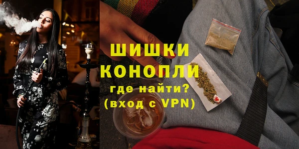 гидра Вяземский