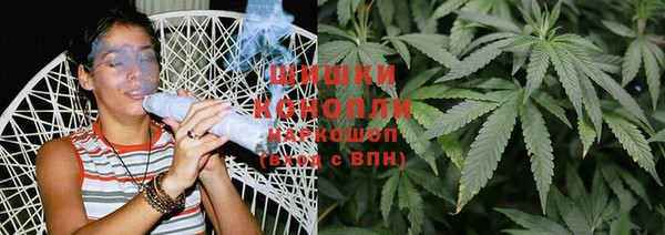 гидра Вяземский