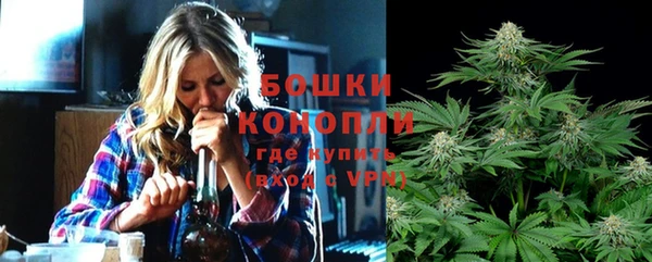 гидра Вяземский