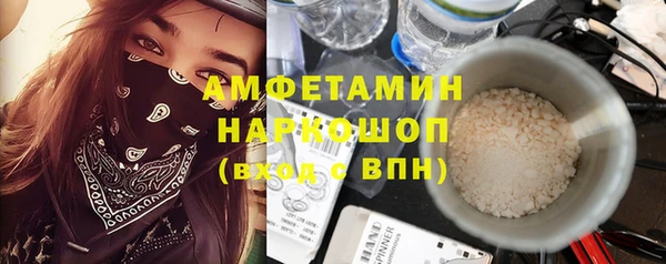 гидра Вяземский