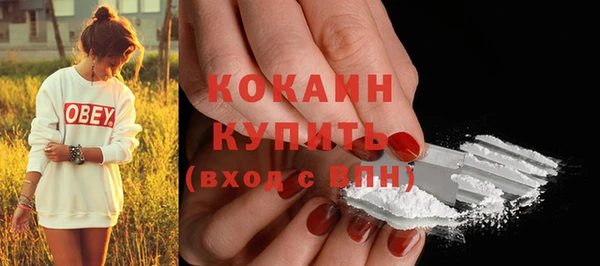 мдпв Майский