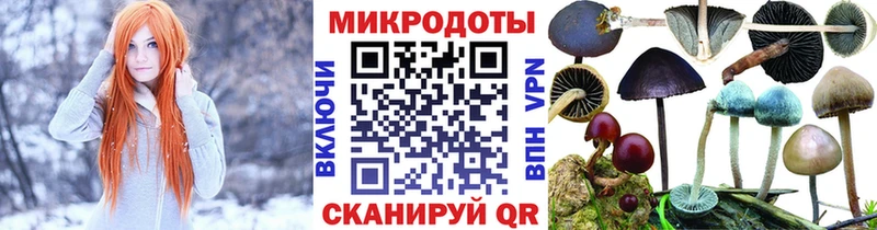 Галлюциногенные грибы Cubensis  Карачев 